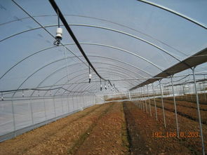 农业大棚优选睿农 广西专业温室设备与配件厂家全方位解析